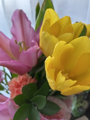 春の花 春の花