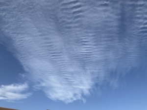 今朝の雲