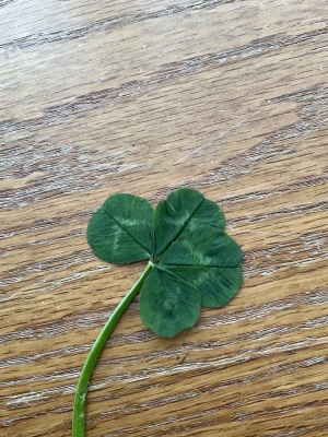 🍀