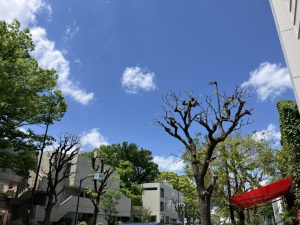 代官山