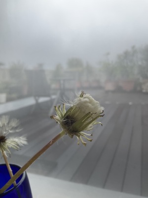 幻想的