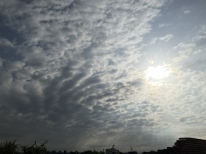 今朝の空